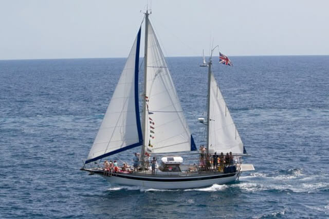 segelyacht 16m kaufen